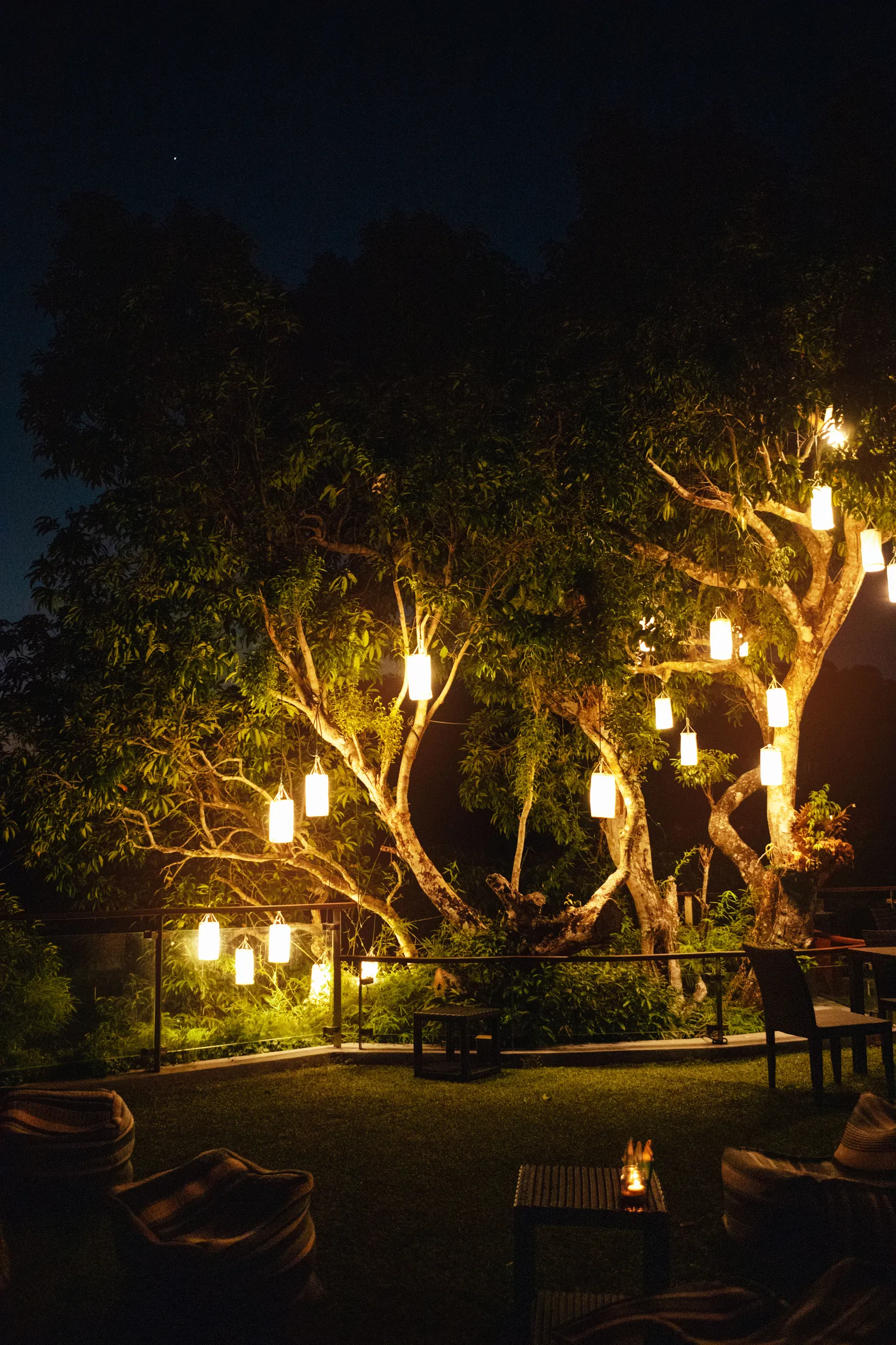 night-outing